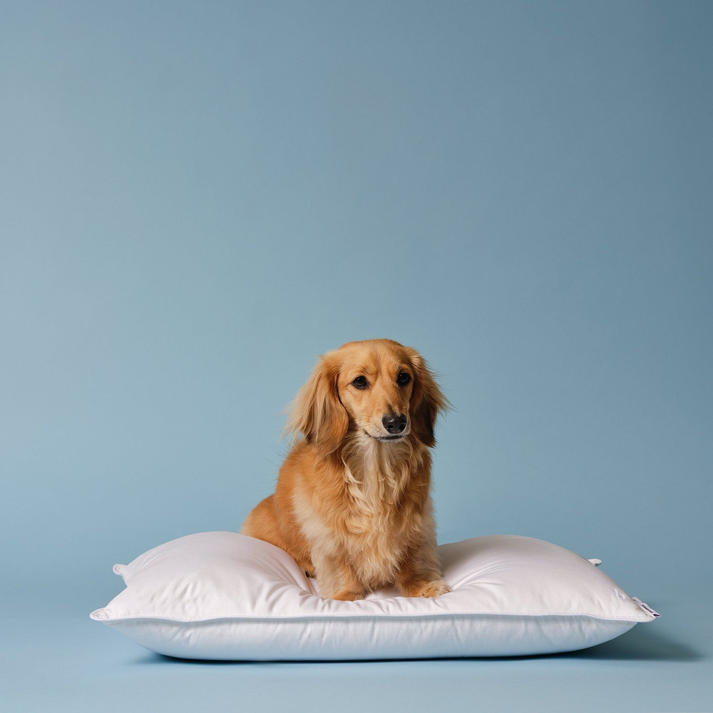 Down Alternative Pillow