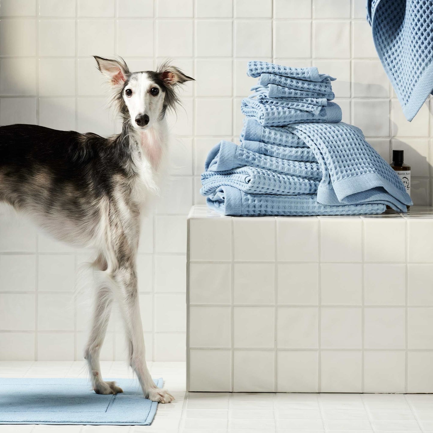 Dreamweave Waffle Hand Towels Set of 2